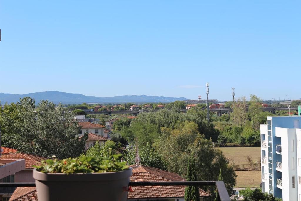 Pisa dall'alto - View 6