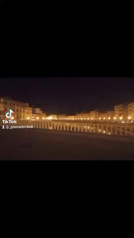 Pisa dall'alto - Main view