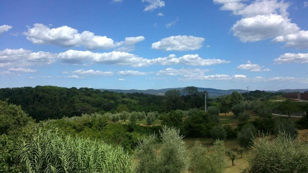 Podere San Quirico - View 7