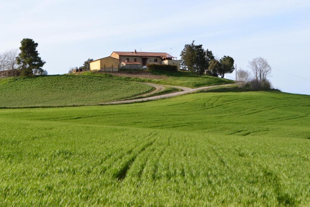 Poggio alla Pietra 26 - Main view
