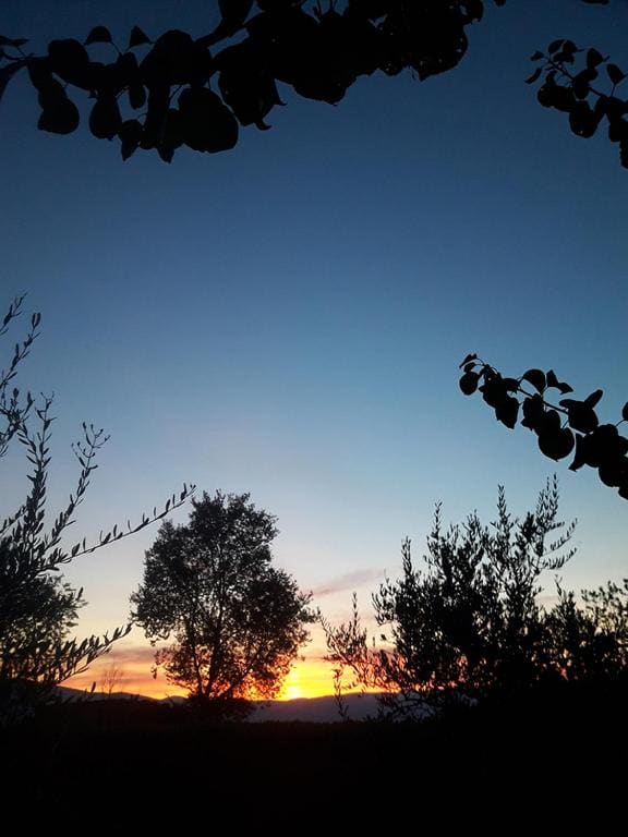 Poggio La Grognola - View 6