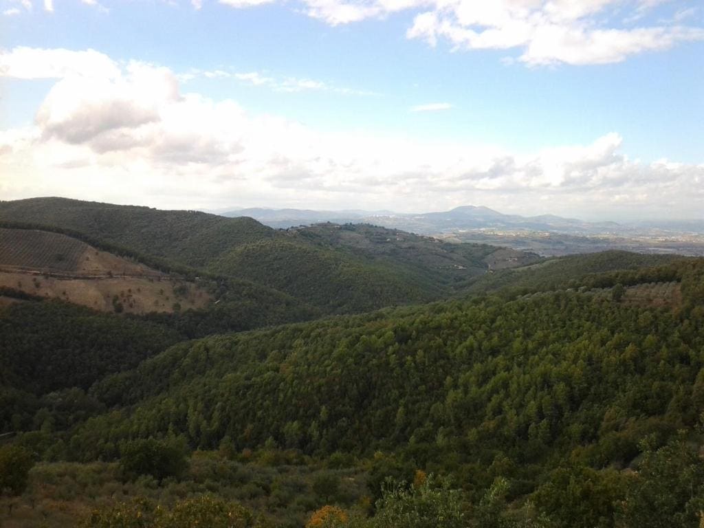 Poggio La Grognola - View 4