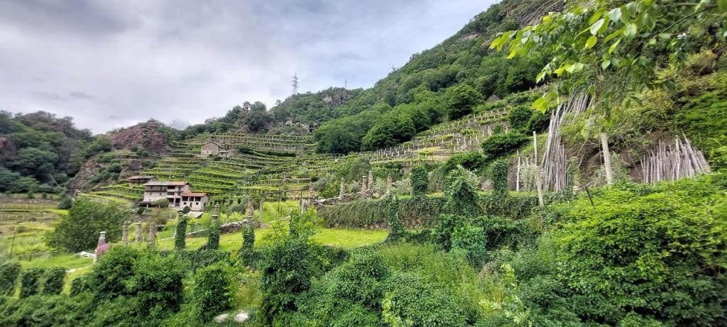 Relais del Brigante - View 4
