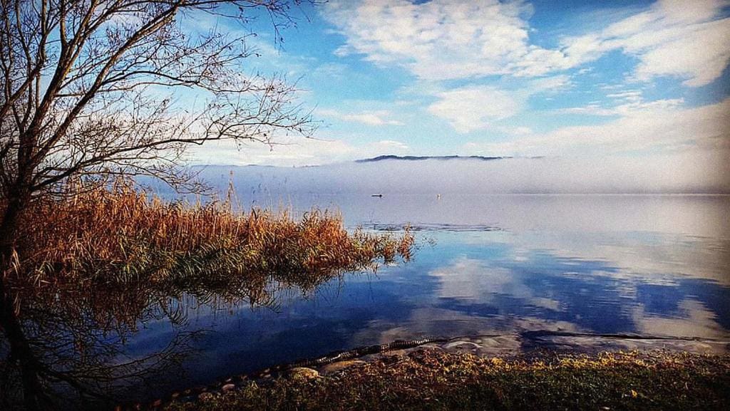 Ritratto sul Lago - View 7