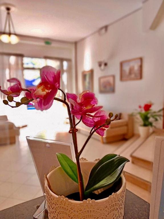 Hotel Rossella - View 3