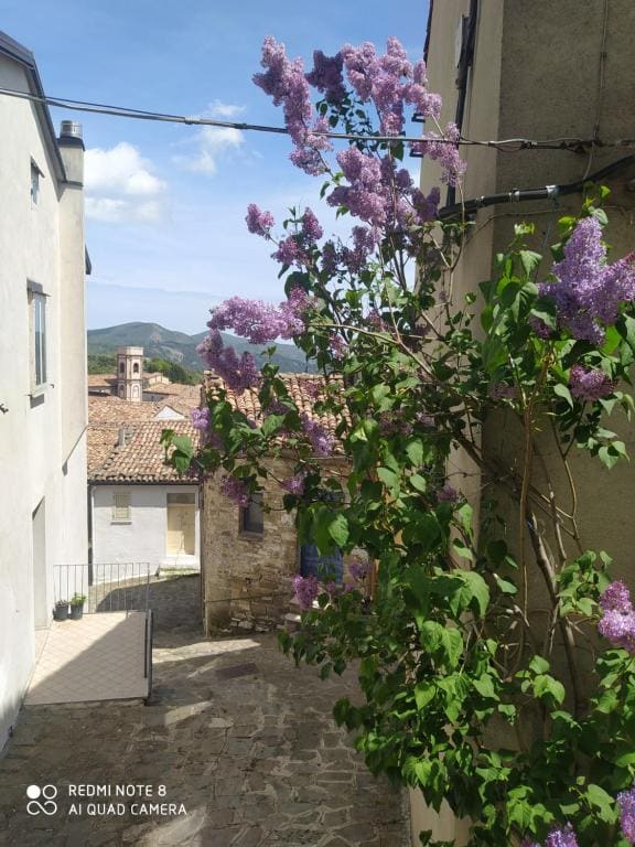 Sant'Elia B&B - View 3