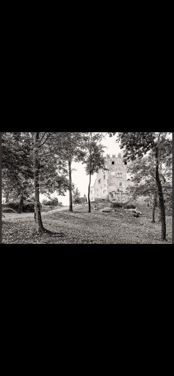 Schloss Freudenstein - Main view