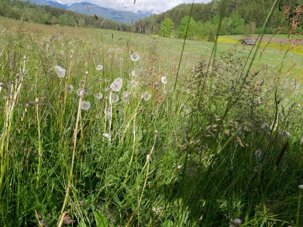 Stockerhof - Tampilan 2