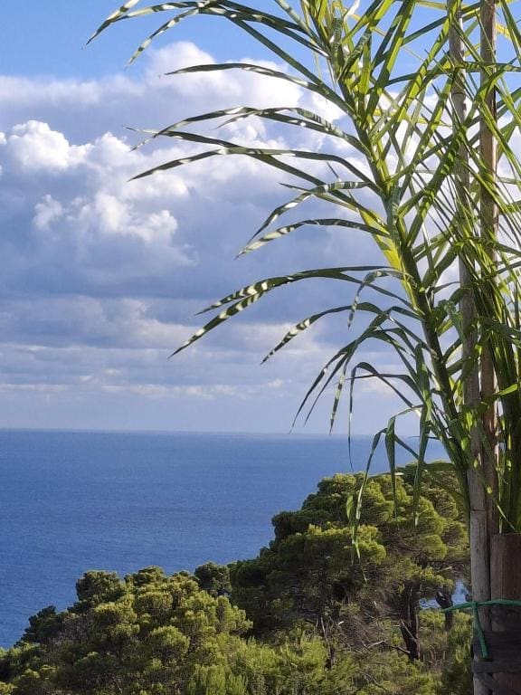 Tenuta Belvedere Cilento - View 6