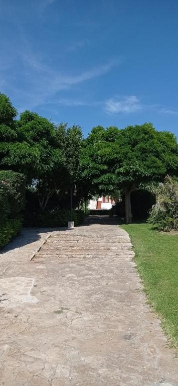 Tenuta Don Monaco - Agriturismo - View 6