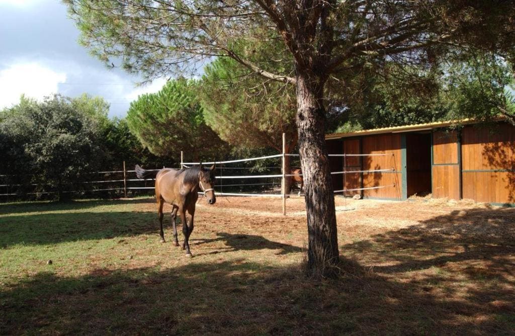 Tenuta Don Monaco - Agriturismo - View 4