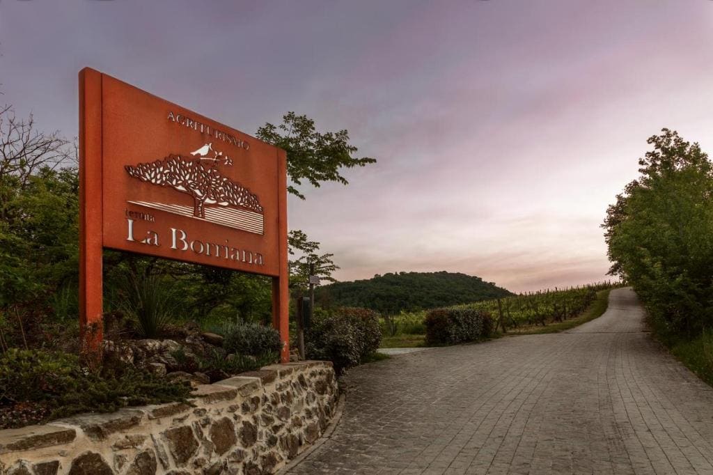 Tenuta La Borriana - View 5