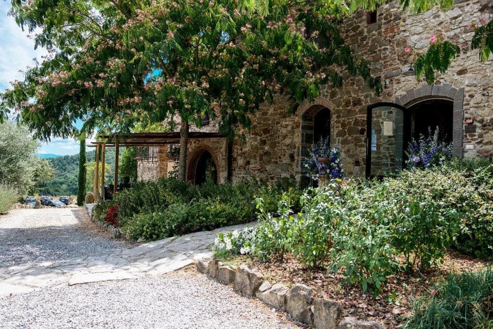 Tenuta La Borriana - View 4
