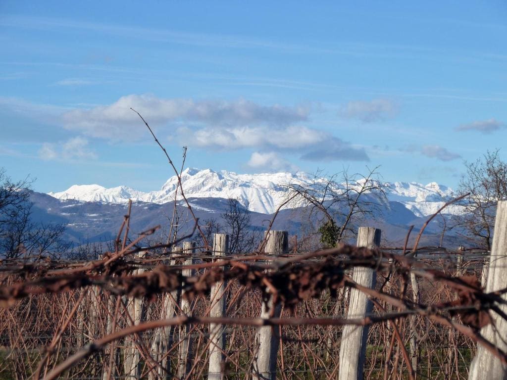Tenuta Perusini - View 2