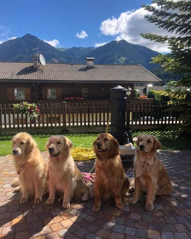 Alpine Touring Hotel-petfriendly - View 5