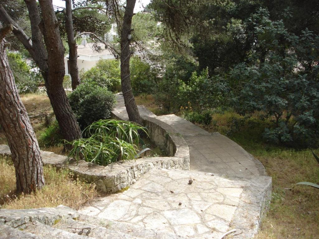 Trullo in the Wood - View 7