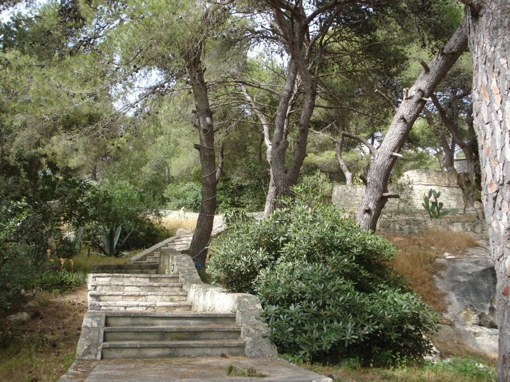 Trullo in the Wood - View 6