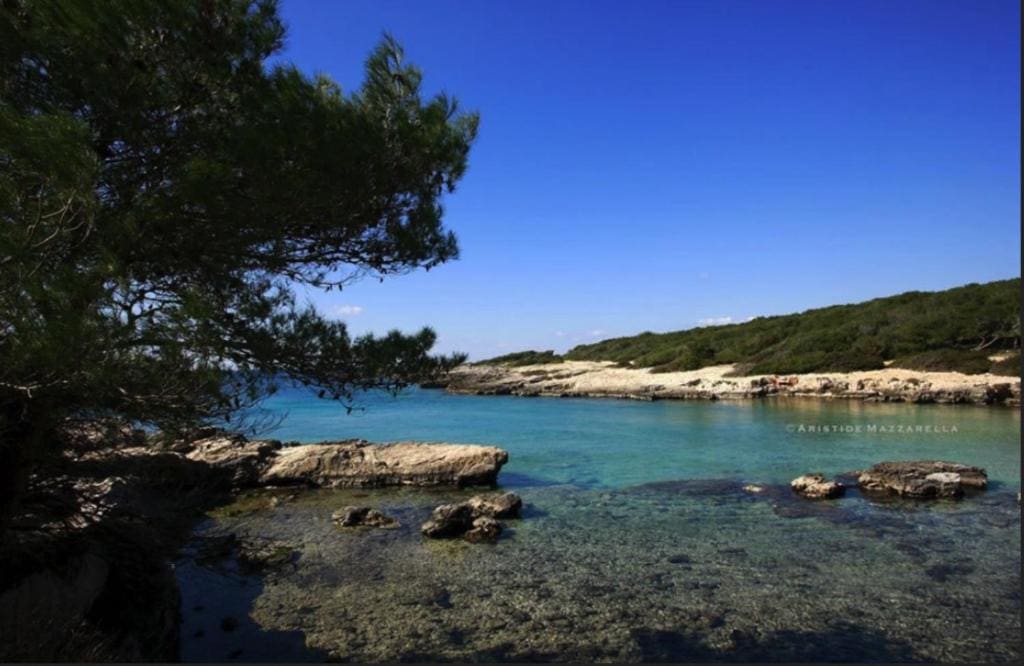 Trullo in the Wood - View 5
