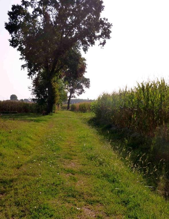 L'ULMA e L'OPI RB - View 7