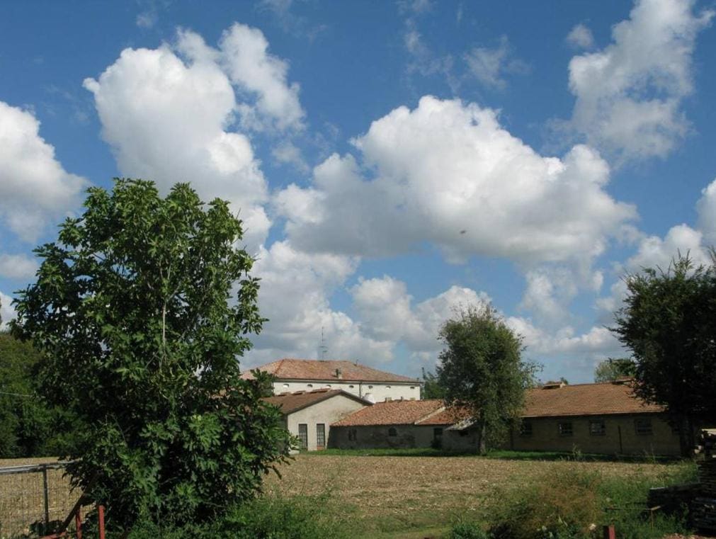 L'ULMA e L'OPI RB - View 2