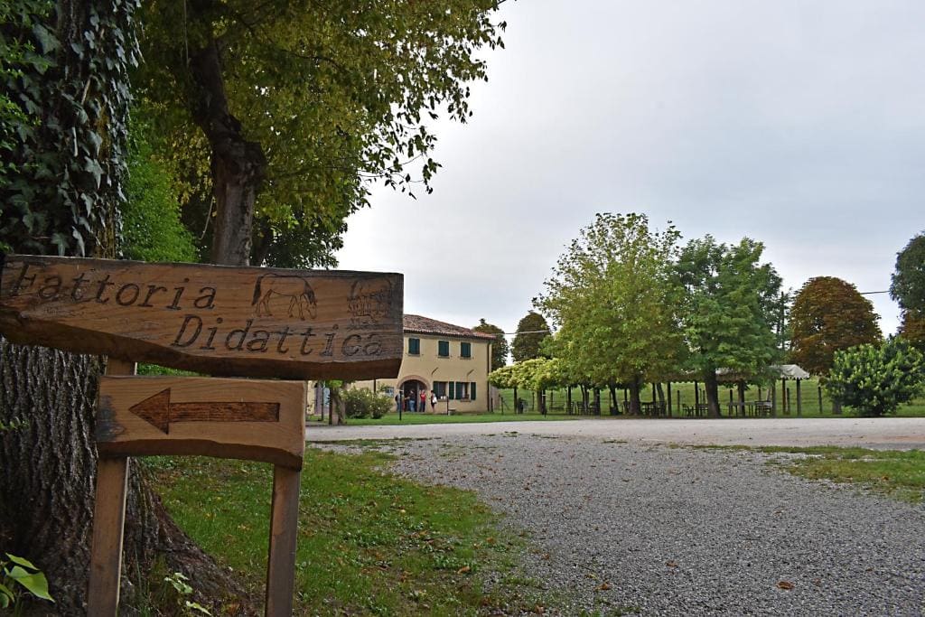 La Tenuta Va Oltre - Main view