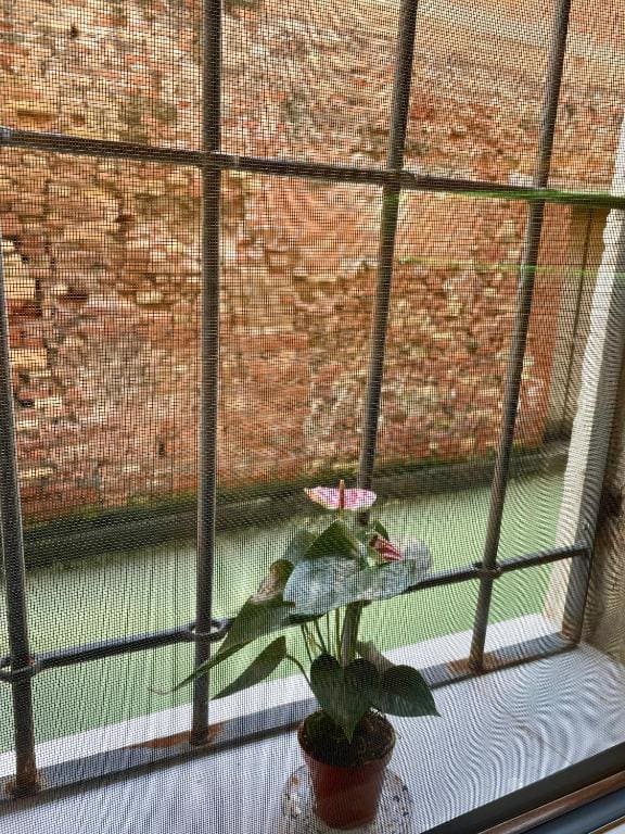 Hayez Rooms - Tampilan 3