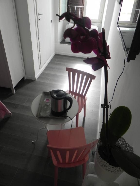 Vica Pota - View 6