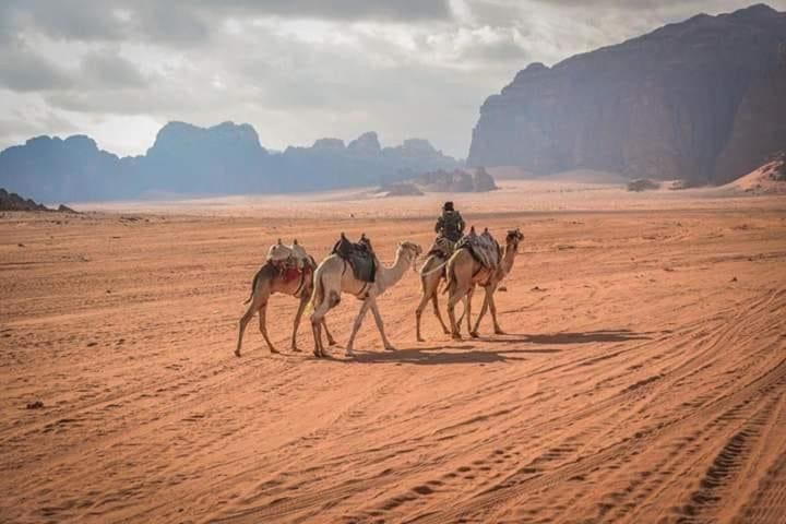 Faraj wadi rum - View 5