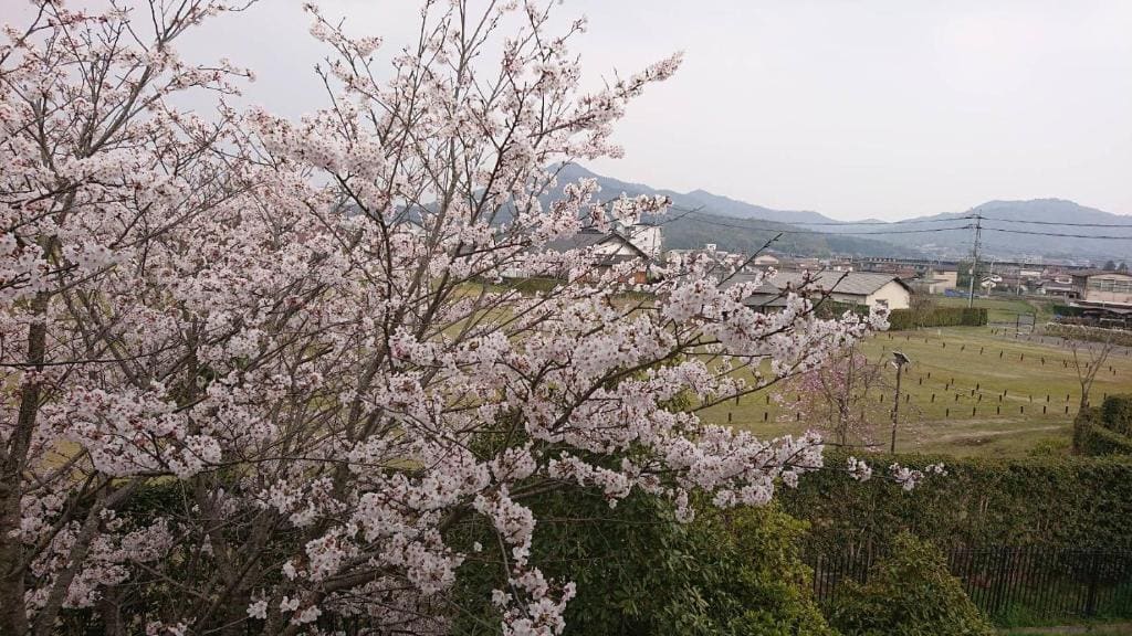 Aki Kokubunji Shukubou - View 6