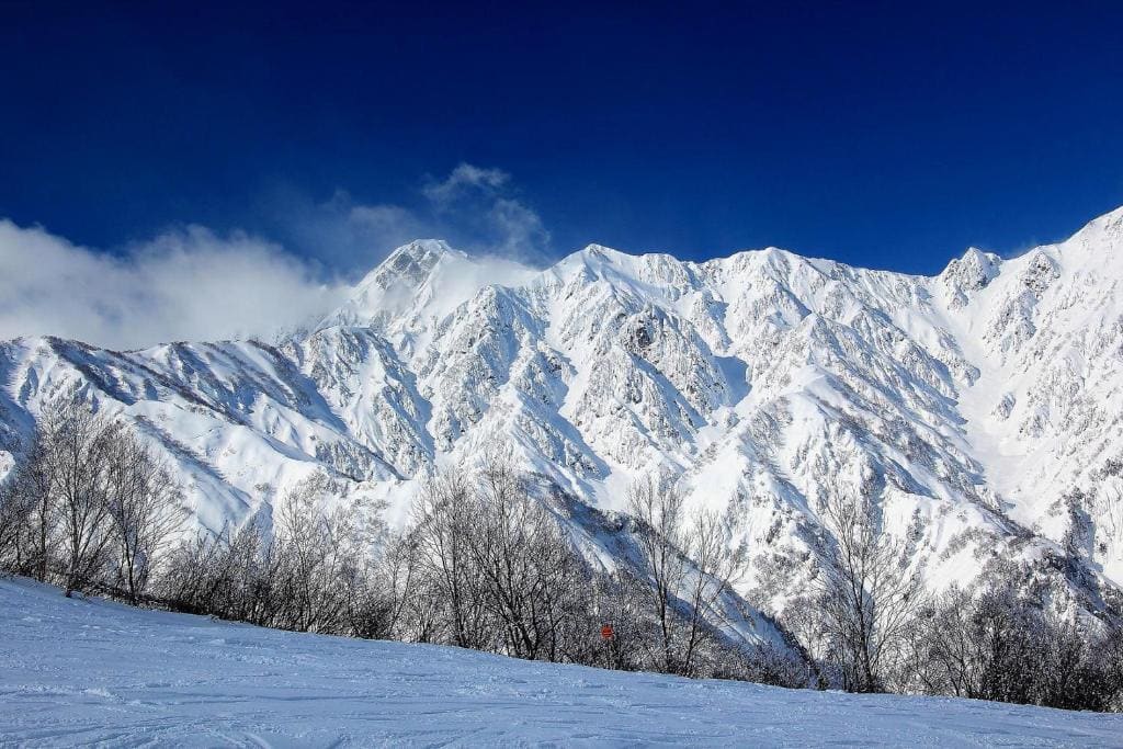 The Guest House Japan Hakuba - View 3