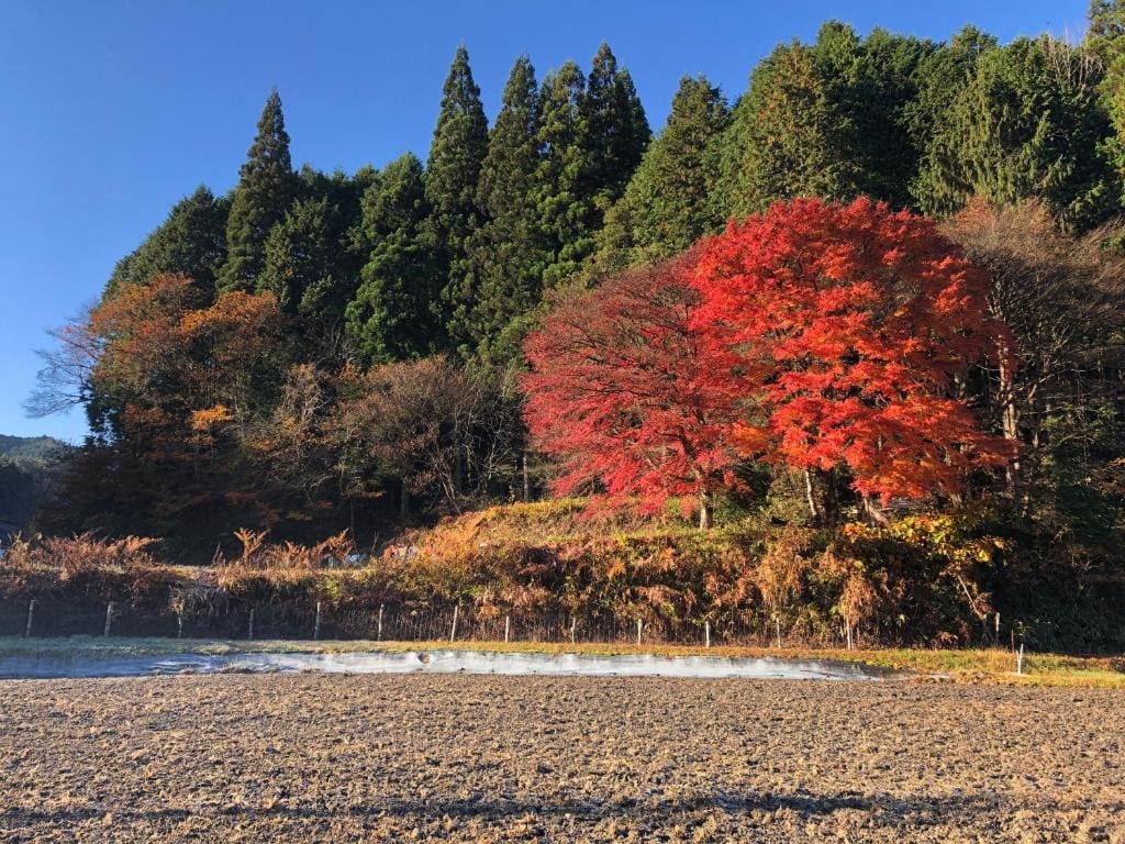 古民家アドベンチャー — Ansicht 7