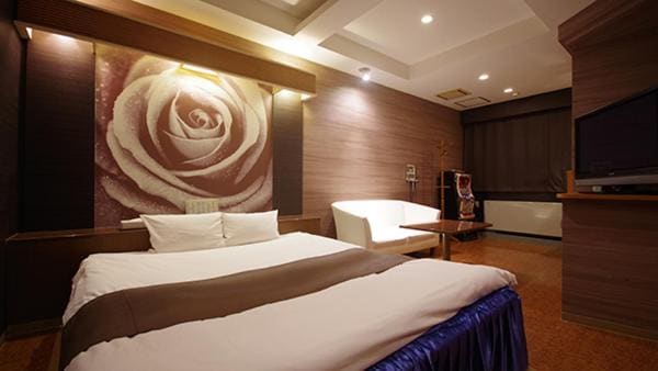 Hotel Dolphin - View 6