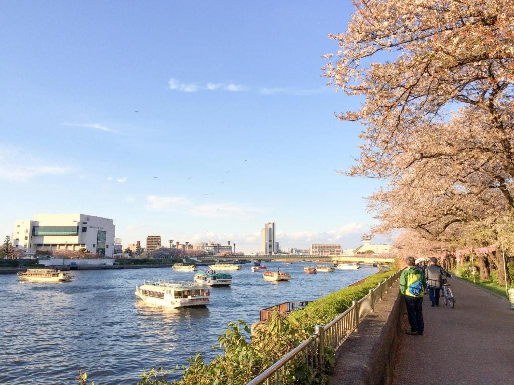 illi Mia Kinshicho - Main view
