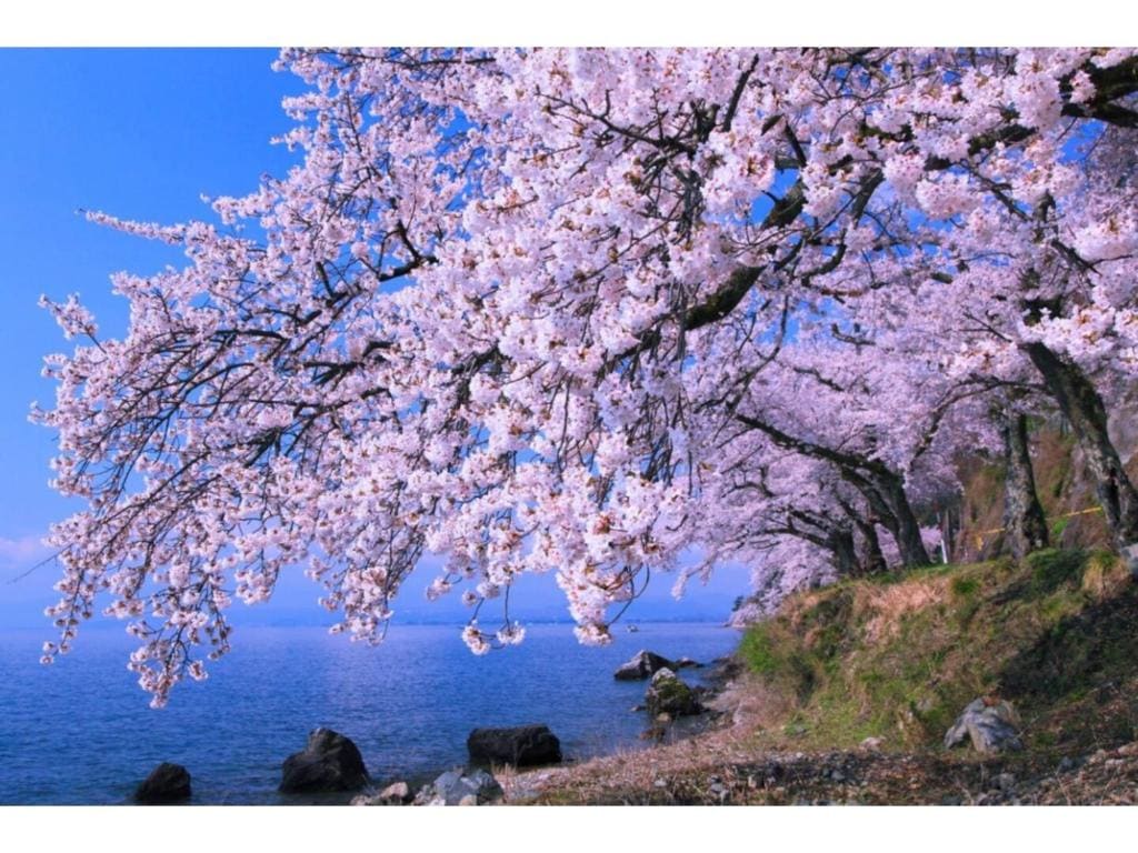 Kishida House - Vacation STAY 36613v - View 7
