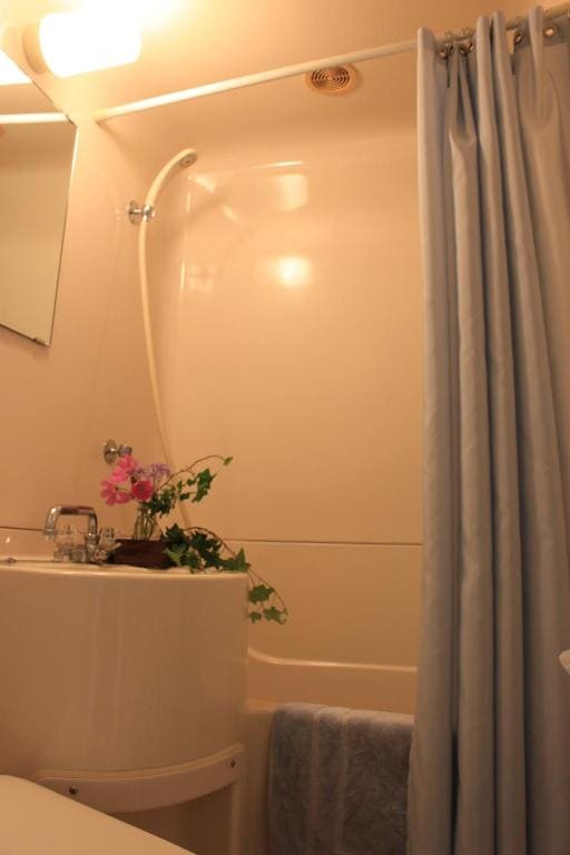 Kitashiga Holiday Inn - Vista 4