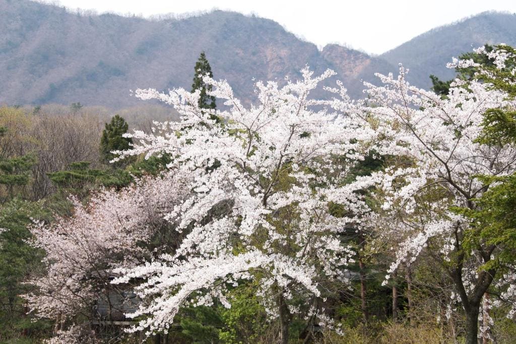 Matsukaneya Annex - View 4