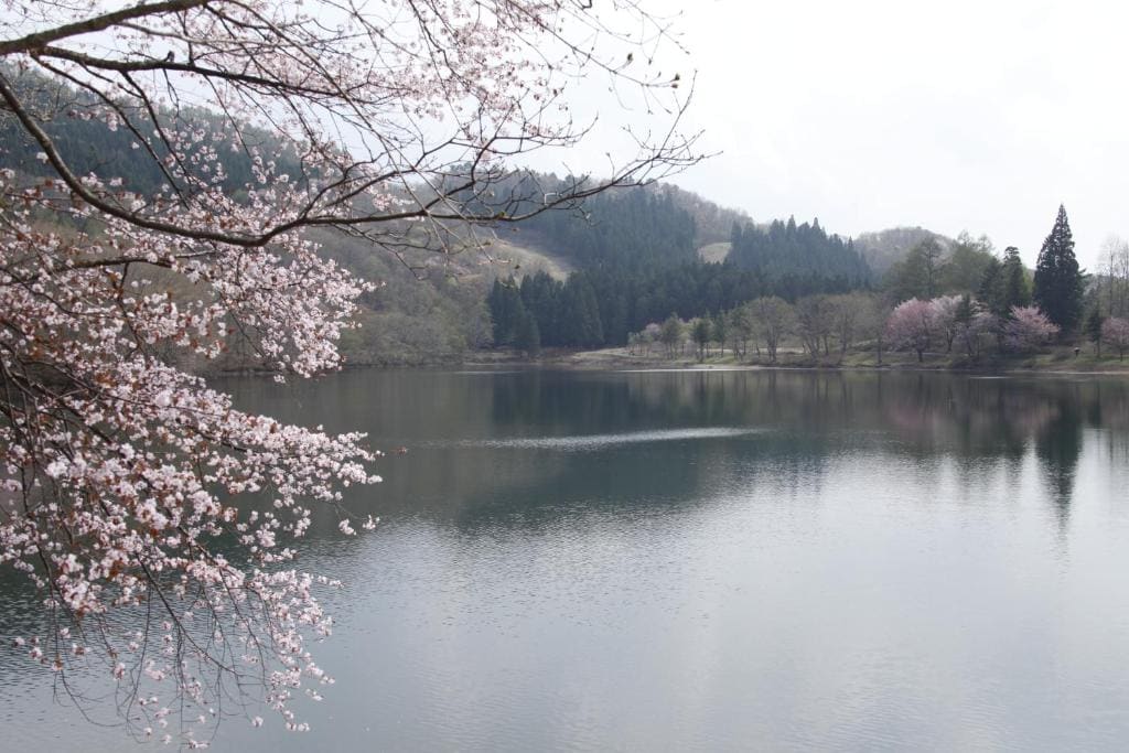 Matsukaneya Annex - View 6