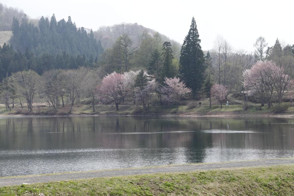 Matsukaneya Annex - View 5