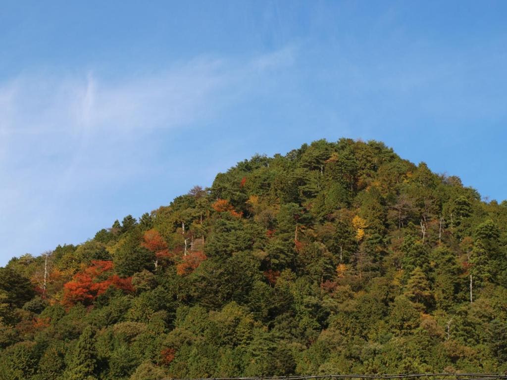 Miyama Nature and Culture Village Kajikaso - View 7