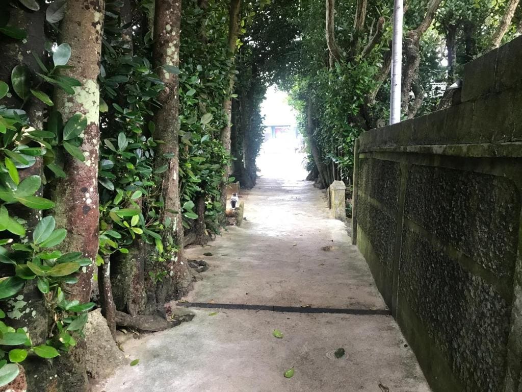 Niruyakanaya BISE - Vacation STAY 36700v — Ansicht 3
