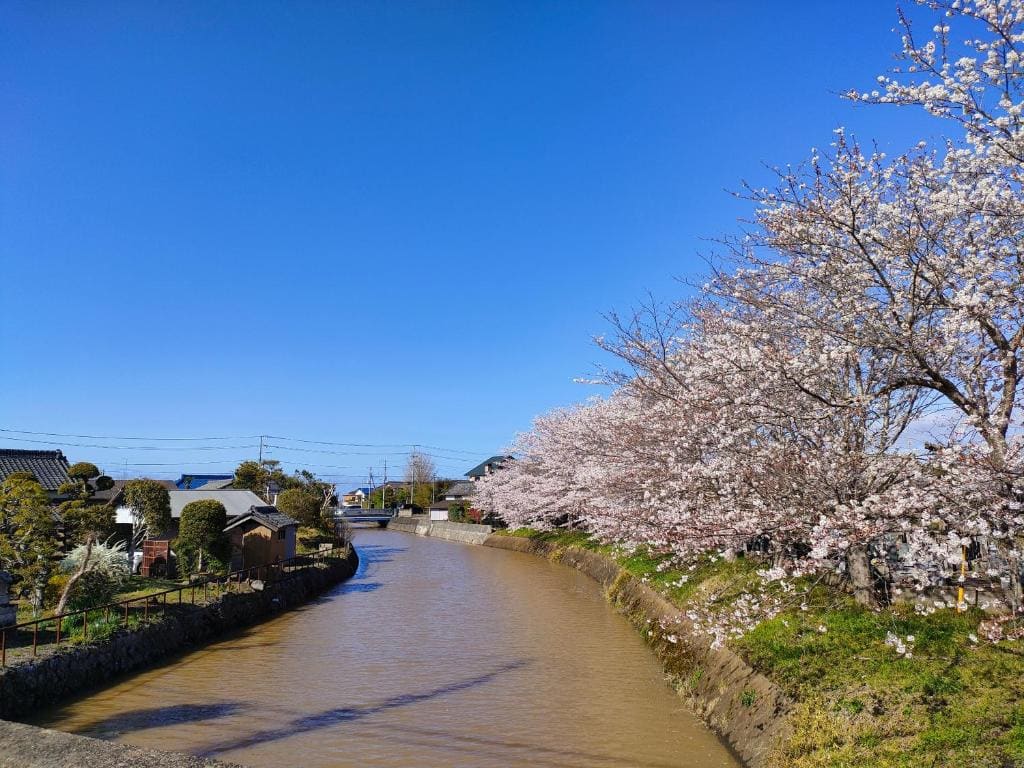 農家古民家ねこざえもん奥屋敷 Nekozaemon-Gest house - View 7