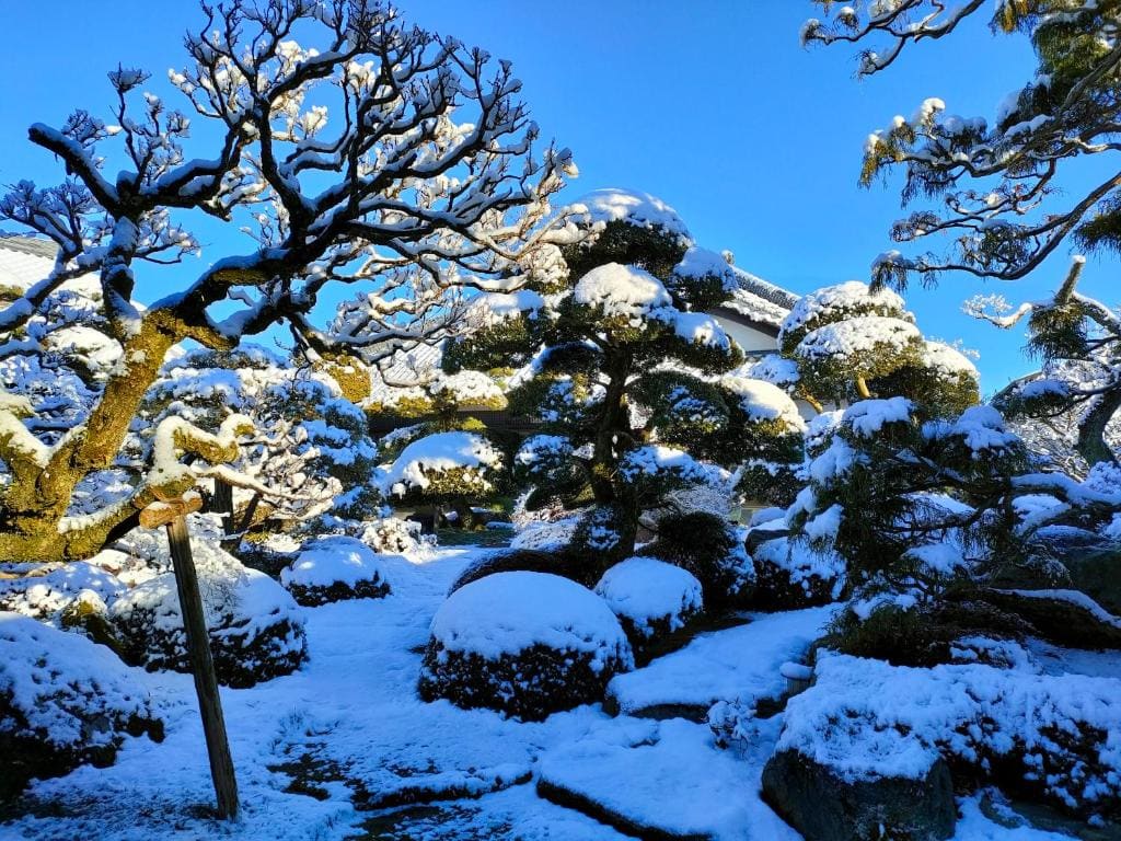 農家古民家ねこざえもん奥屋敷 Nekozaemon-Gest house - View 5