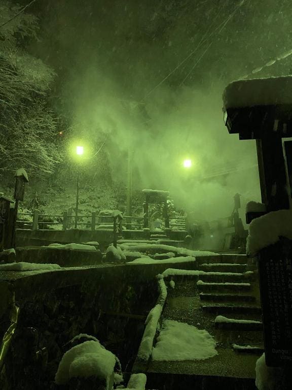 Nozawa Dream Central - View 3