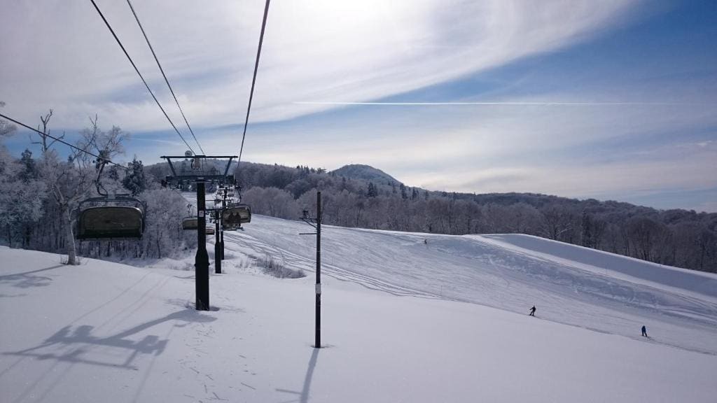 Nozawa Dream Central - View 2