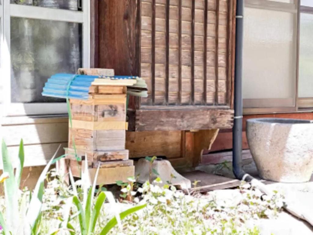 Potato mura house tatara - Vacation STAY 90000v - View 3