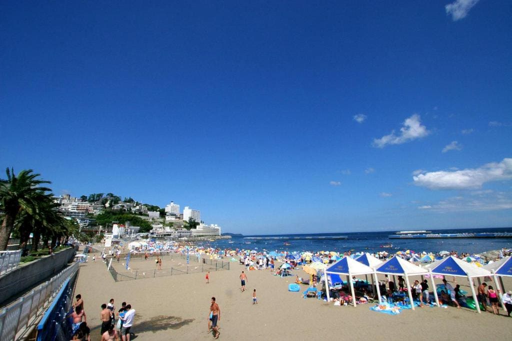 熱海温泉旅館立花 — Vue 2