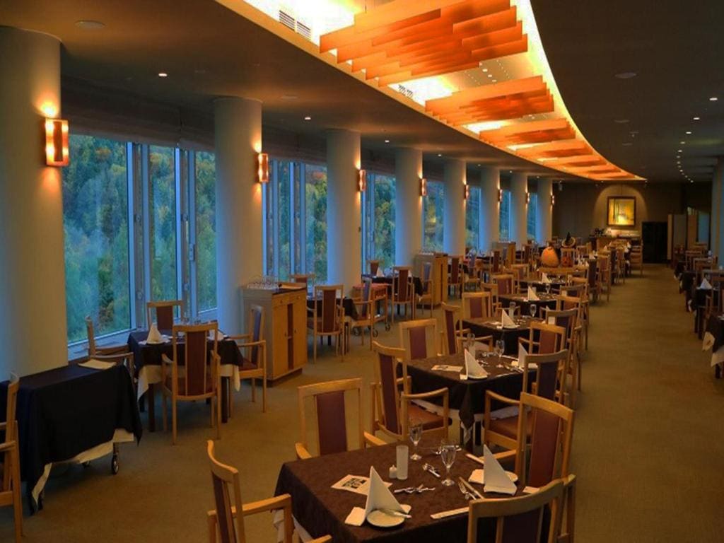 Shin Furano Prince Hotel - View 3