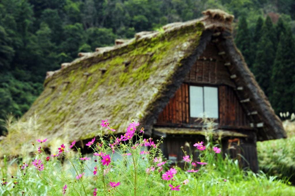 Shirakawago Guest House Kei - View 4