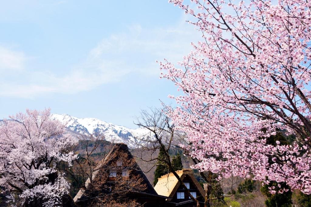 Shirakawago Guest House Kei - View 5