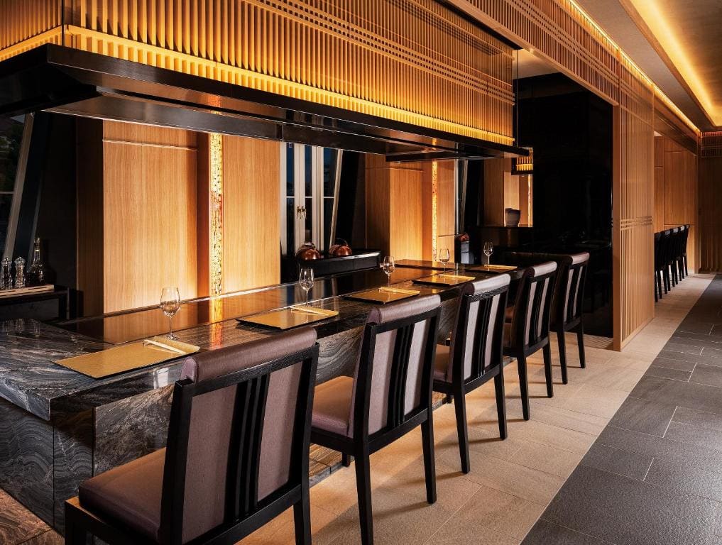 Takarazuka Hotel - View 5